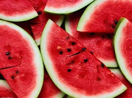 吃西瓜保护我的瓜,吃瓜行动，共筑绿色家园