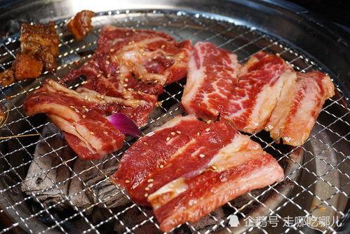 大瓜吃烤肉,烤肉飘香，共享美味时光