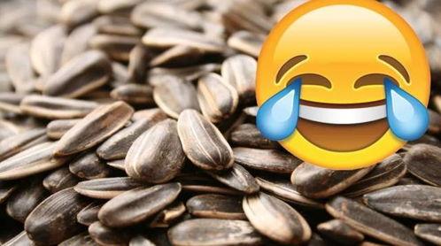 吃瓜子不嗑瓜,品味生活的小智慧