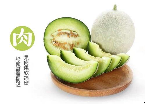 吃瓜唐十八19,一场关于美食与生活的趣味之旅