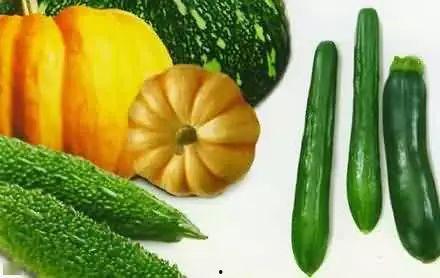 司法圈吃瓜,揭秘吃瓜群众的围观盛宴