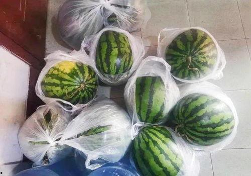 吃瓜大料温情文案,温情大料，共享人间烟火气