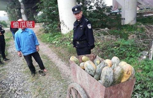 冕宁红军吃瓜事件视频,一段感人至深的军民鱼水情