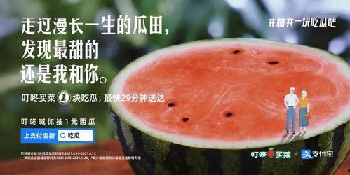 吃瓜吃够了的文案,揭秘娱乐圈幕后真相