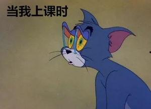 吃瓜心情,品味生活，畅享瓜界盛宴