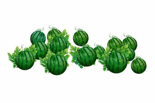 阿悠悠吃瓜,揭秘娱乐圈幕后真相