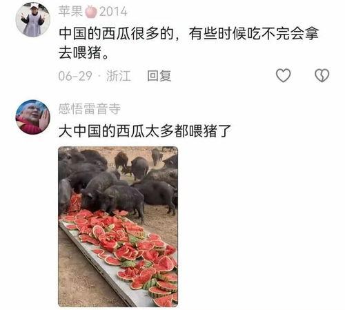 国外评论中国吃瓜,娱乐与文化的碰撞