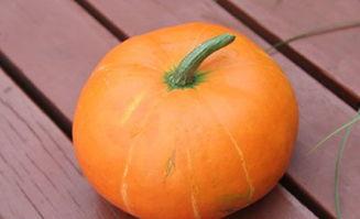 什么是吃药吃瓜,揭秘吃药吃瓜的养生奥秘