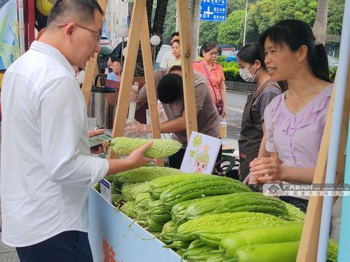 白珍珠吃瓜,白珍珠的瓜界探险记