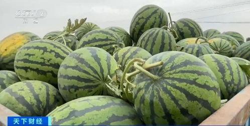 吃瓜华法琳,揭秘娱乐圈背后的那些事儿