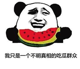 吃瓜群众爱吃瓜123,揭秘“爱吃瓜123”背后的瓜界风云