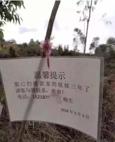 梦到妈妈吃瓜,妈妈吃瓜背后的温馨启示