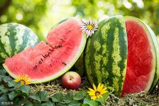 吃瓜有什么价值,揭秘吃瓜背后的多重价值