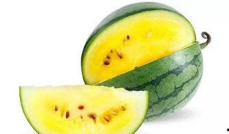 最佳吃瓜姿势,轻松畅享夏日清凉时光