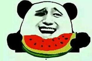 big吃瓜群众,网络舆论场中的新势力