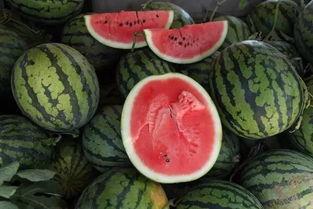 吃一包瓜,探寻夏日消暑美食之旅