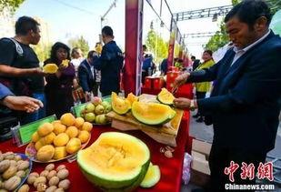 柳州最新吃瓜新闻,网红美食街惊现神秘“黑店”，食客纷纷热议！