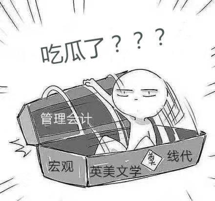 吃瓜火葬场,揭秘生死轮回的神秘面纱