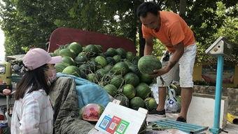 济宁近期吃瓜新闻