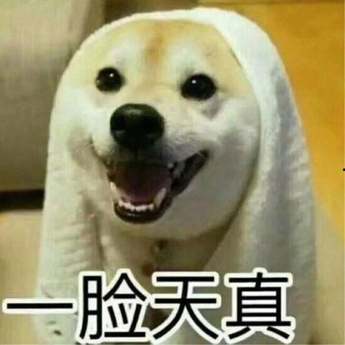 楼下吵架吃瓜后续