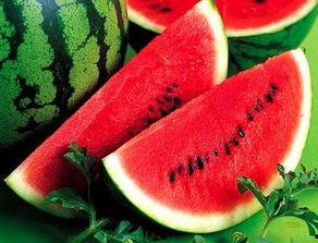 吃西瓜我们是认真的吃瓜,品味夏日清凉时光