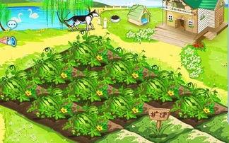 吃瓜乐趣小说,揭秘吃瓜乐趣小说背后的故事