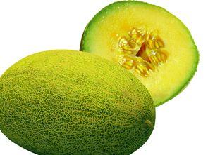 哈密瓜能空肚吃吗