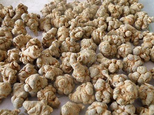 吃土瓜可以吃三七吗女生,女性养生新选择