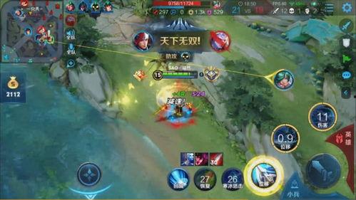 小白和寂然吃瓜,瓜田里的欢乐时光