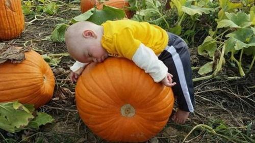 睡个觉吃大瓜,一觉醒来，尽享美食盛宴