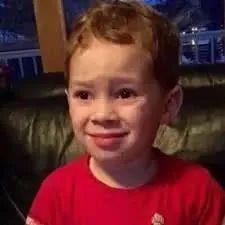 王哥带你吃瓜,王哥带你领略美食与娱乐的跨界之旅