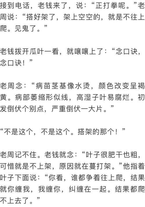 半梦吃瓜全文,揭秘娱乐圈背后的真相与笑料