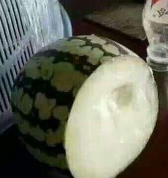 吃瓜到底长胖吗图片