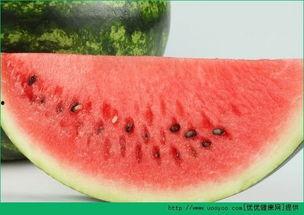 吃瓜到底长胖吗图片