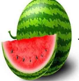 吃瓜到底长胖吗图片