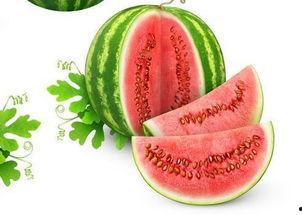 鹿雨吃瓜是什么,揭秘娱乐圈背后的那些事儿