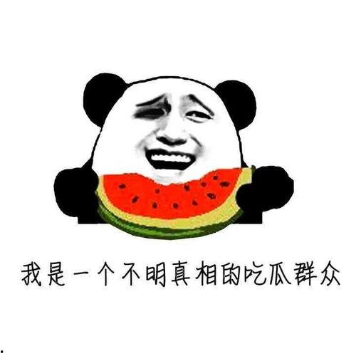 你的胖胖吃瓜,揭秘娱乐圈那些不为人知的幕后故事