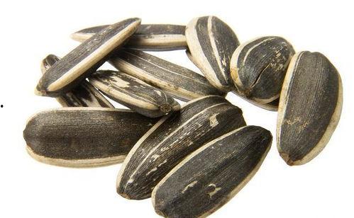 吃瓜和吃瓜子的区别,吃瓜与吃瓜子的趣味对比