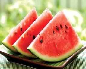 法考机构吃瓜,揭秘吃瓜背后的法律奥秘  第2张